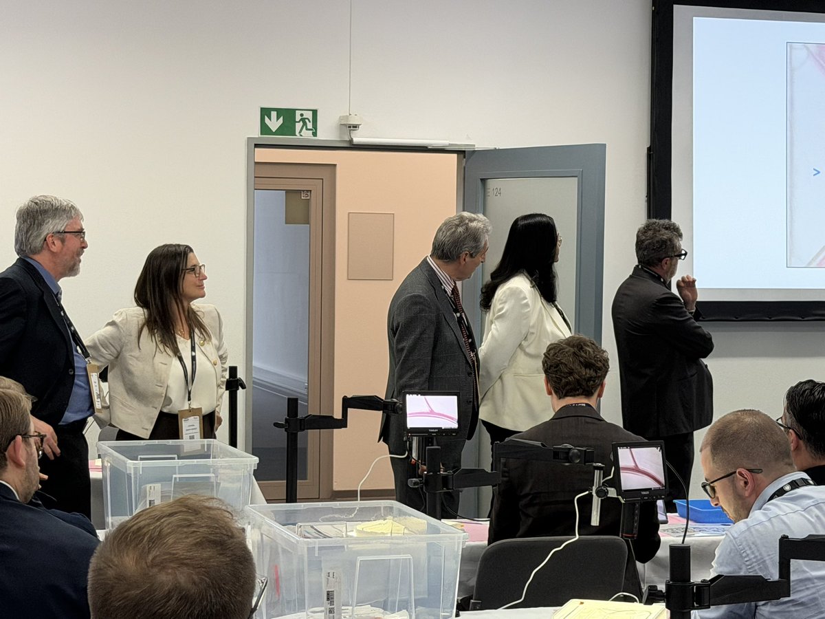 Hany Ragy tweet media