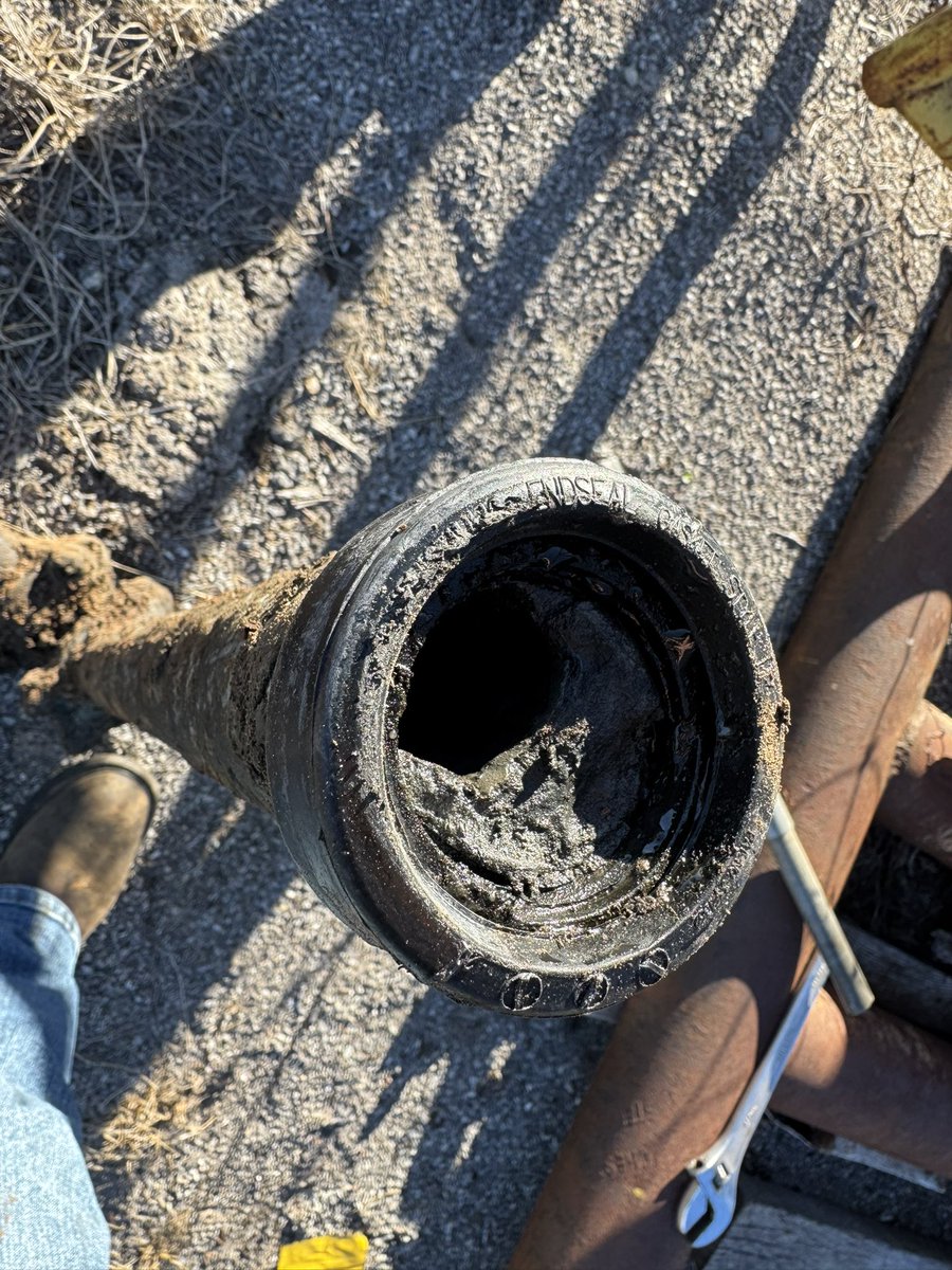 Marshall Hall tweet media