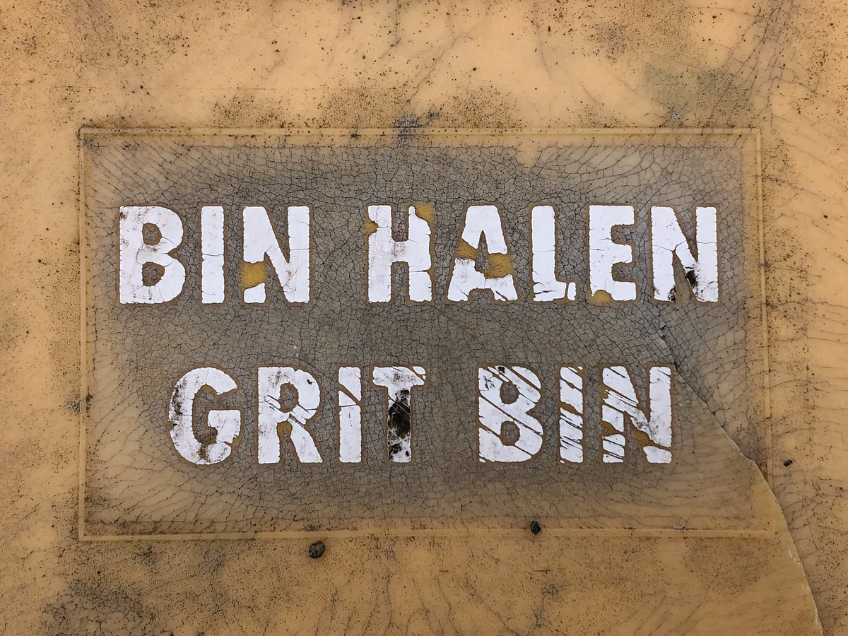 Kacy Preen tweet media