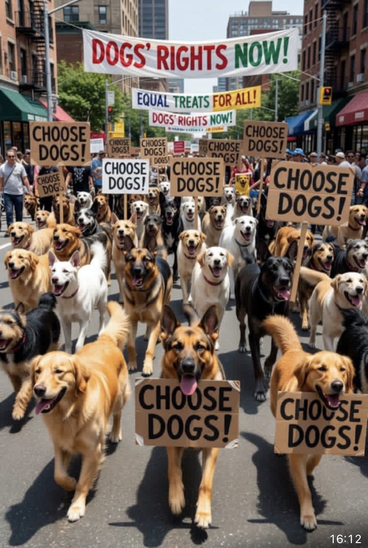 N Ecc 🏴🏴🏴 tweet media