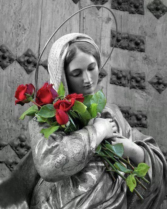 Pray The Rosary tweet media