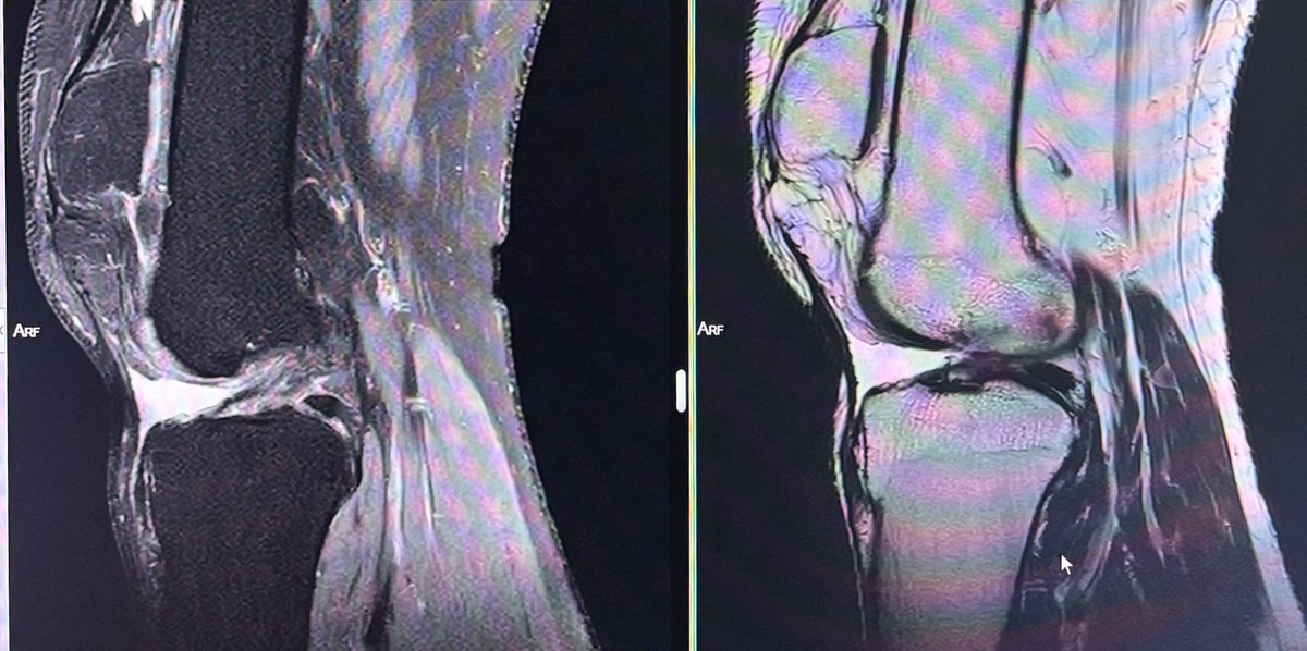 Dr.Yevvari Sameera tweet media