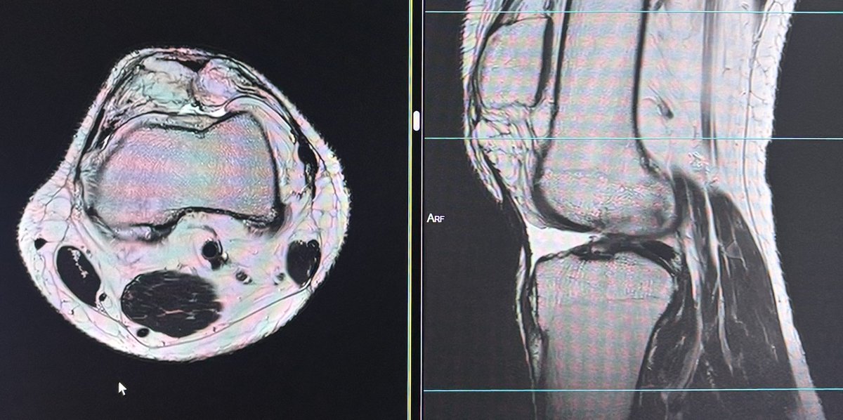 Dr.Yevvari Sameera tweet media