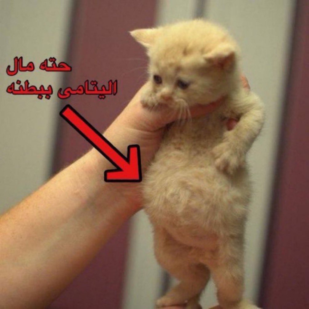 سَما (@lxsems) on Twitter photo 