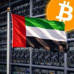 Photo by Bitcoin MENA Conference (@bitcoinmenaconf)