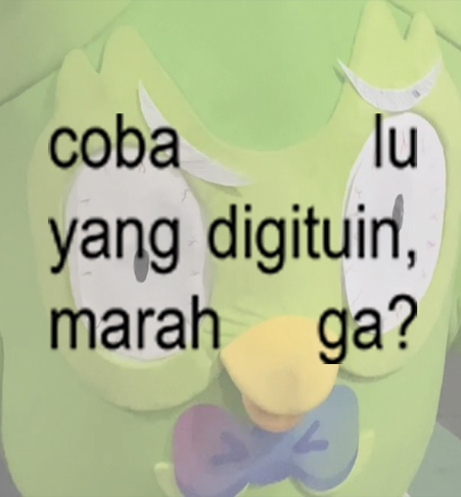 Duolingo_IDN's tweet image. 