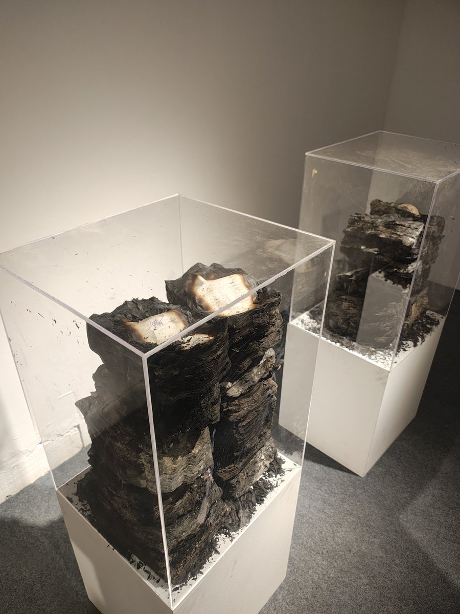 Mohaiminul Islam Zipat tweet media