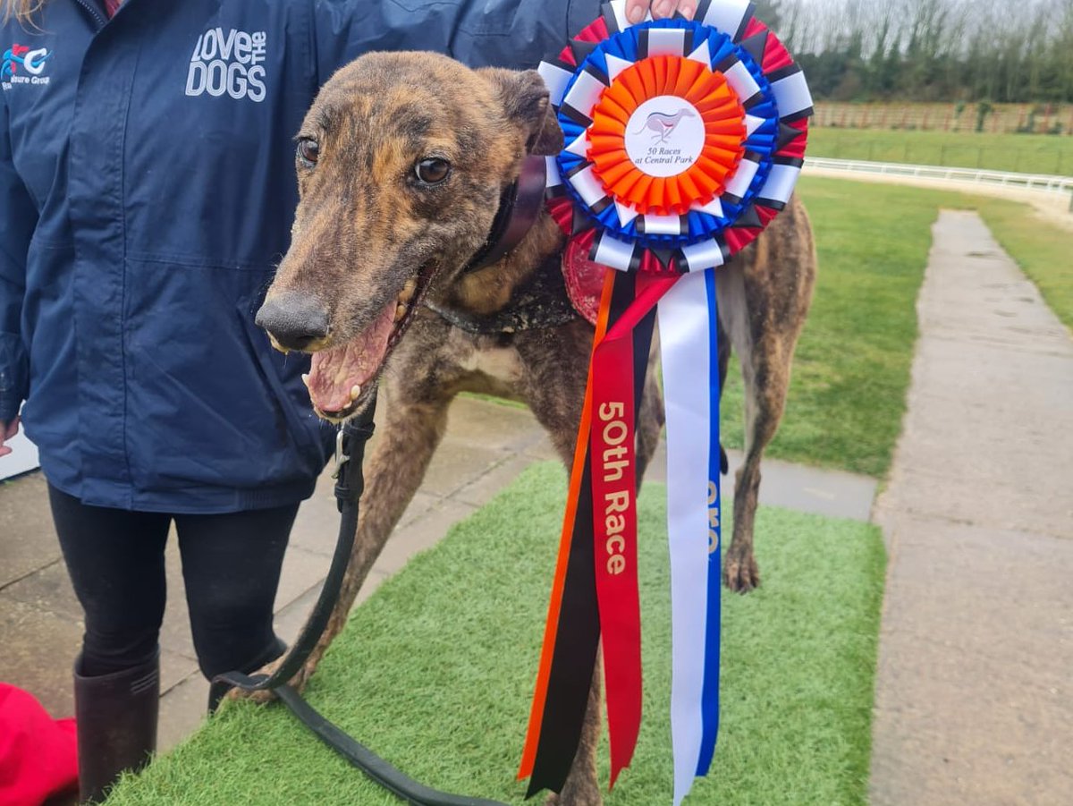 Central Park Stadium tweet media