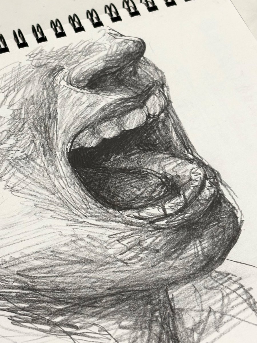 けんけん@tamapro (@Kenxxth2) / Posts / X