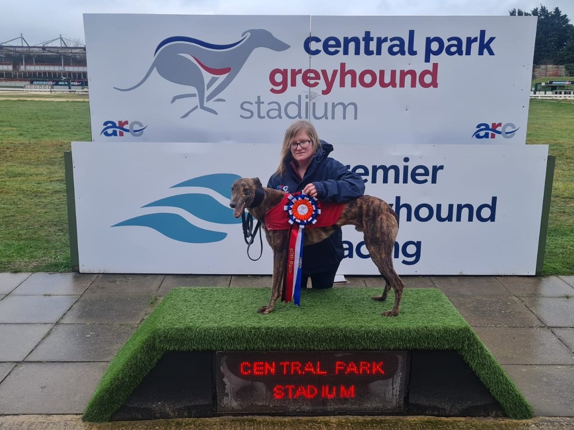 Central Park Stadium tweet media