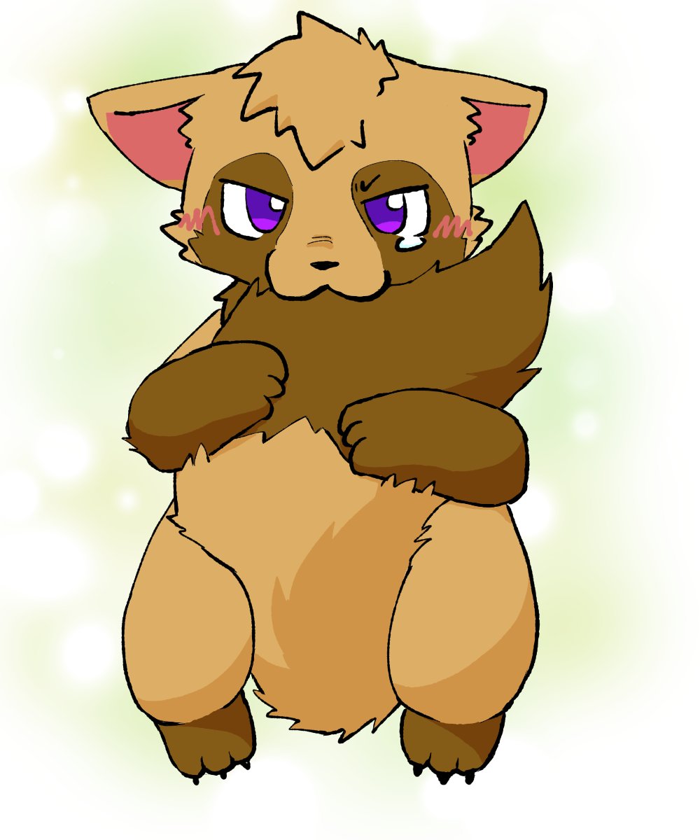 Post by ていら-teira on X: たぬき