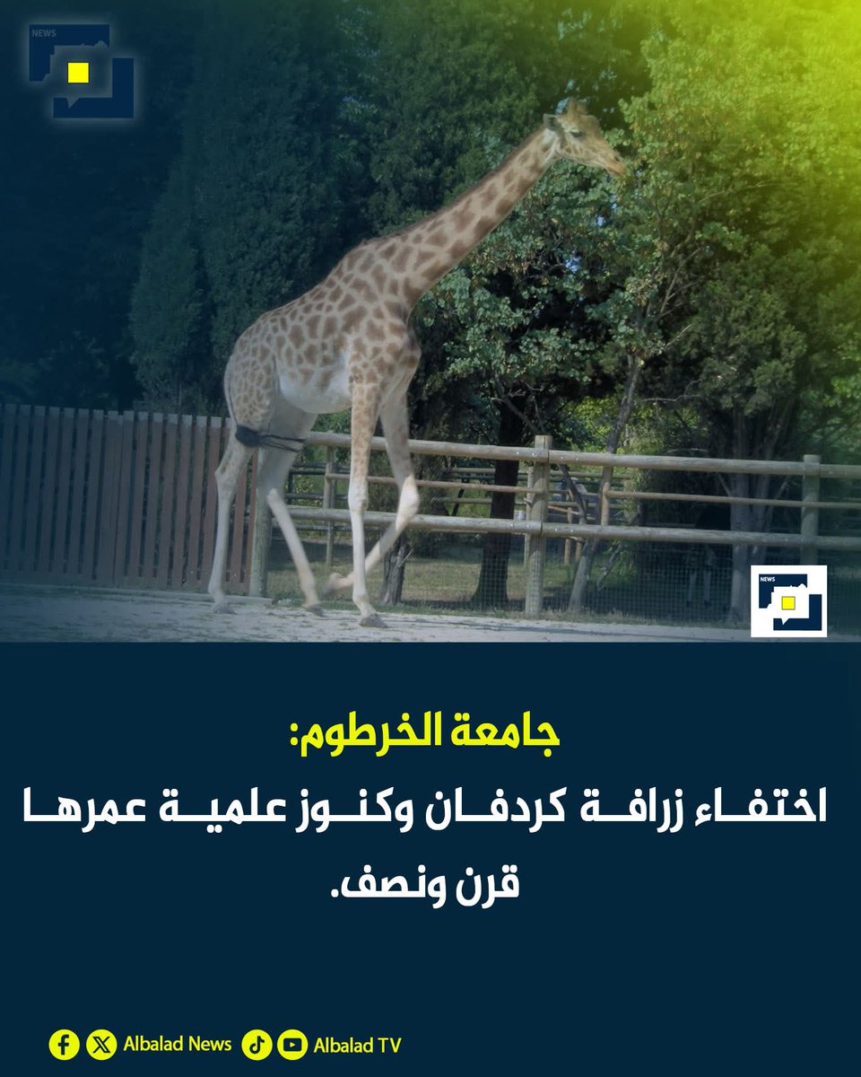 Sudan Trend 🇸🇩 tweet media