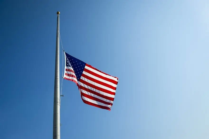 Lovable Liberal and his Old English sheepdog tweet media