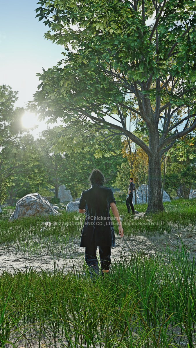 カエムの朝
#FF15 #FF15の世界