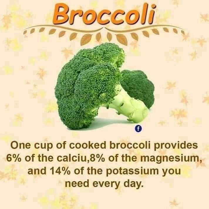 Michiko Rice Meals by Michiko tweet media