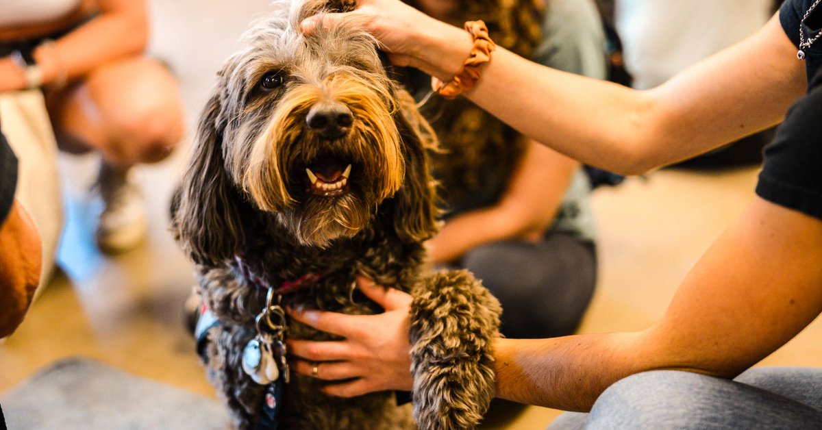 Purdue University Press tweet media