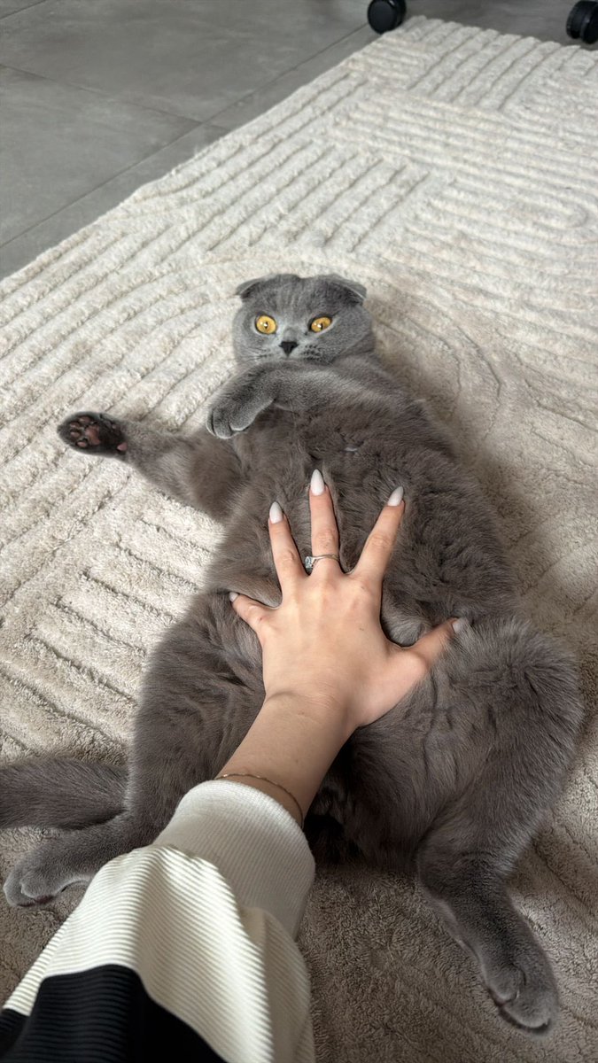 Je résiste rarement à l’appel de la bedaine