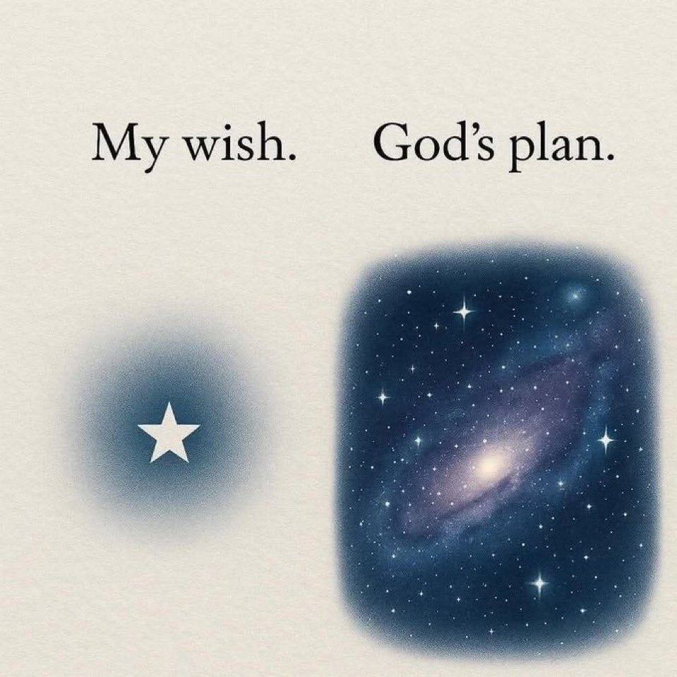 circirbocegisi's tweet image. 