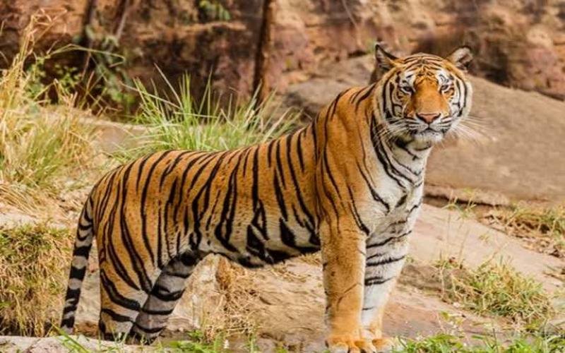 ASIF YAR KHAN tweet media