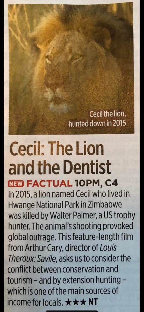 Jools_Orca's tweet photo. Tonight at 10pm. Documentary on when Cecil was shot dead by an American dentist.
@Protect_Wldlife @CBTHunting @benonwine @Acko1963 @JournoJane @willtravers @PeterEgan6 @louisa1000 @seasylvia2005 @XposeTrophyHunt @TheFreds @IDAUSA #BanTrophyHunting #CecilTheLion https://t.co/24k5LEMY50