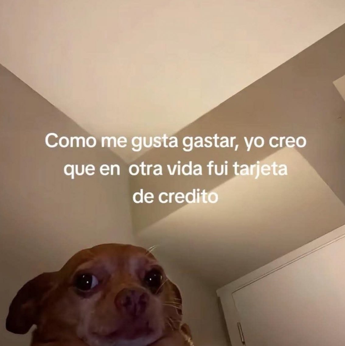 karlarboledas's tweet image. 