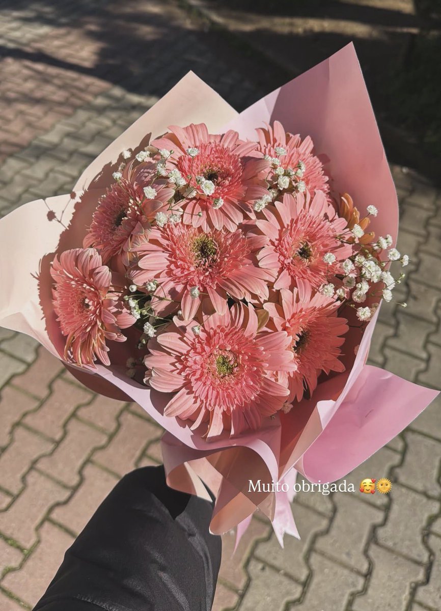 jurídico julia bergmann tweet media