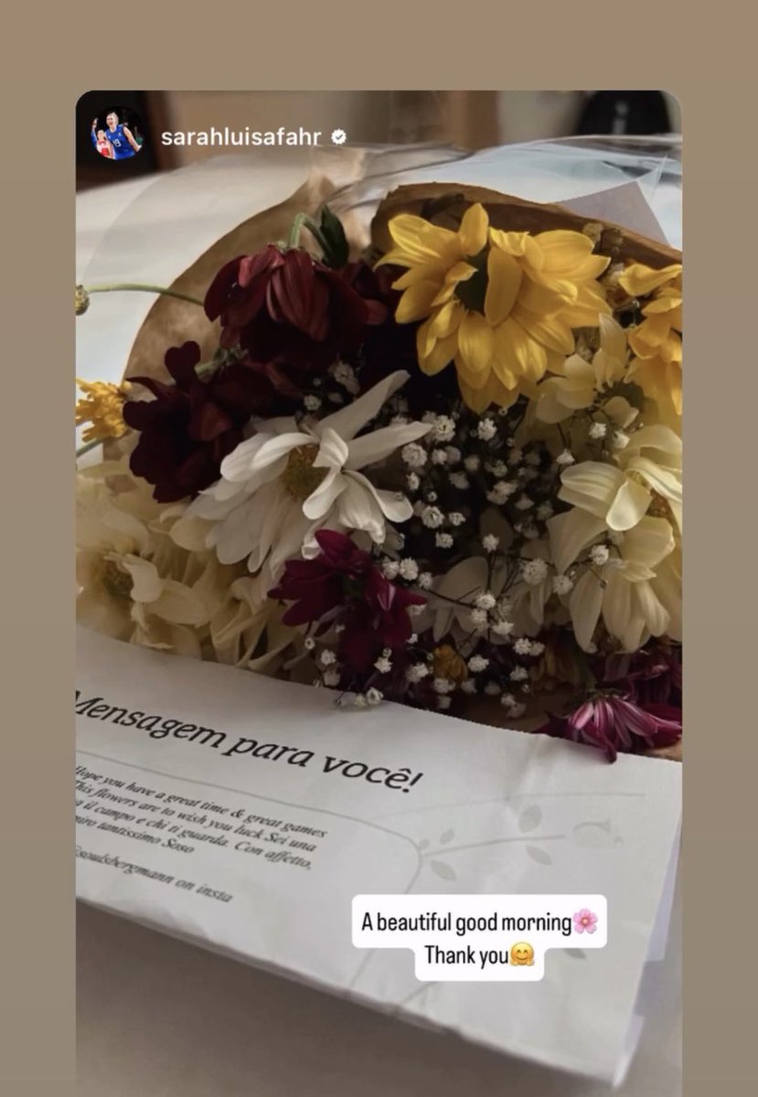 jurídico julia bergmann tweet media