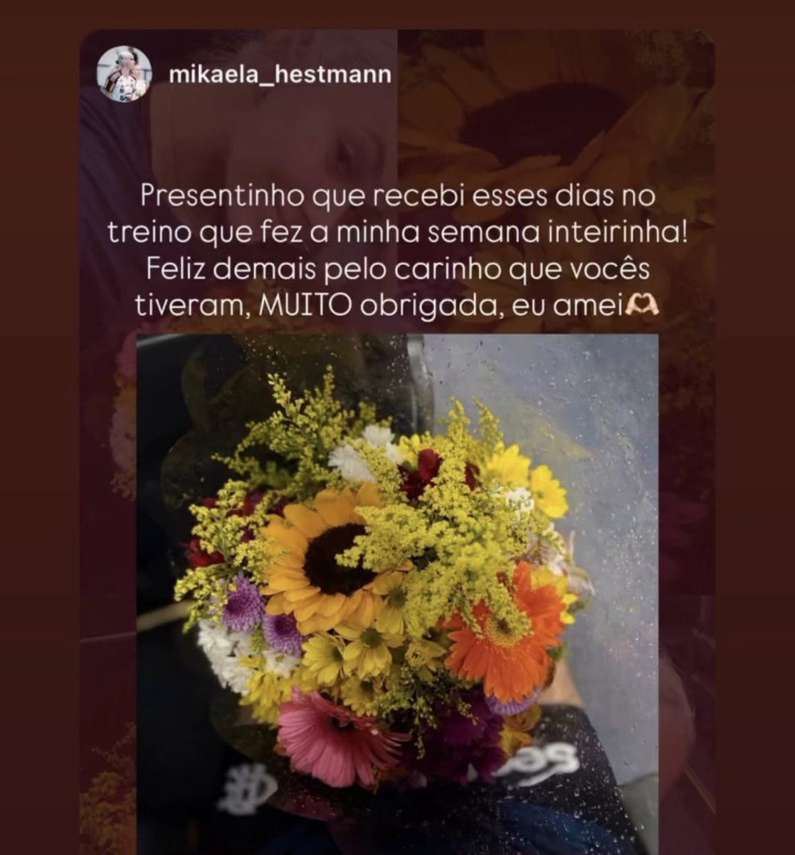 jurídico julia bergmann tweet media