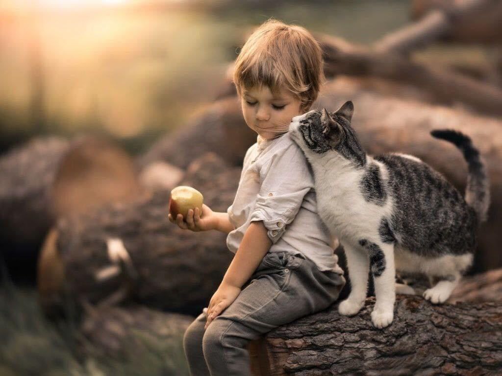 8LR_8's tweet photo. ٌ
عندما تُولد يؤذن في اذنك بغير صلاة ؛ وعندما تموت يصلى عليك من غير أذان ؛ وكأن حياتك في الدنيا ليست سوى الوقت الذي تقضيه بين الاذان والصلاة !🕌 https://t.co/UJxGA4kA0c