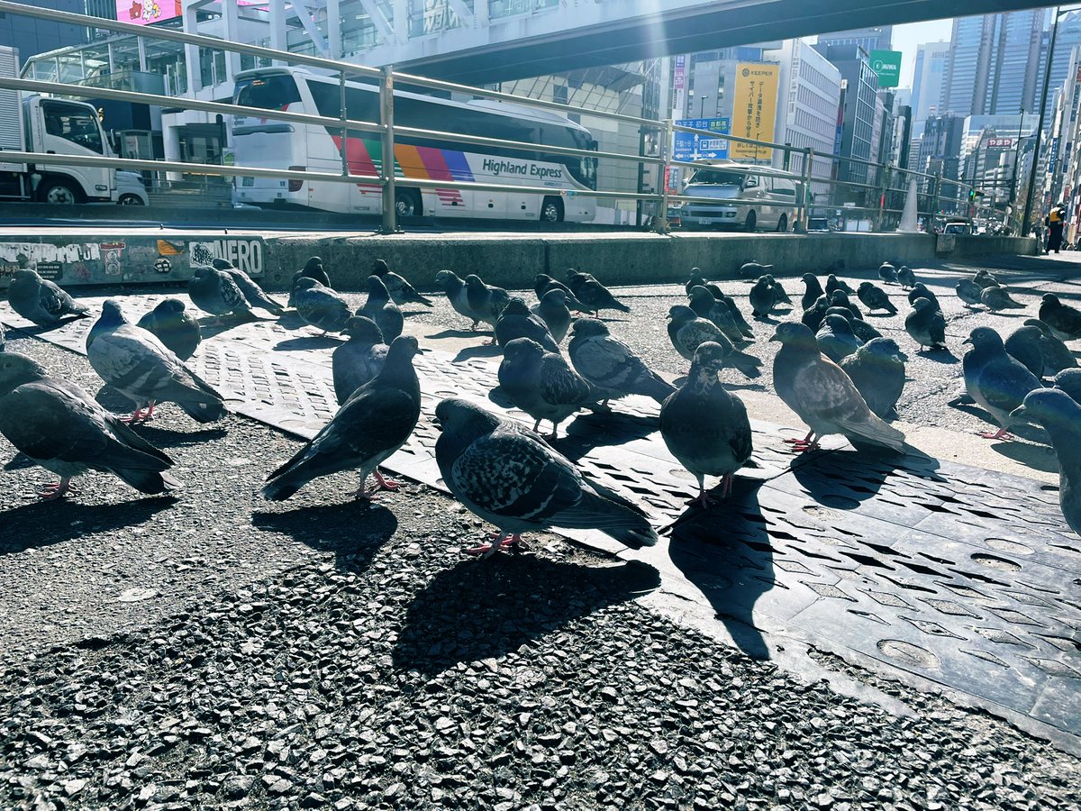 おかざきりょう tweet media