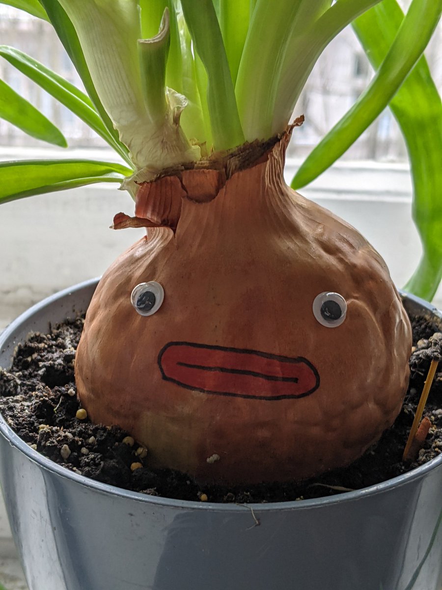 Абрикос Абрикосовий (@aabrikosovyj) on Twitter photo 