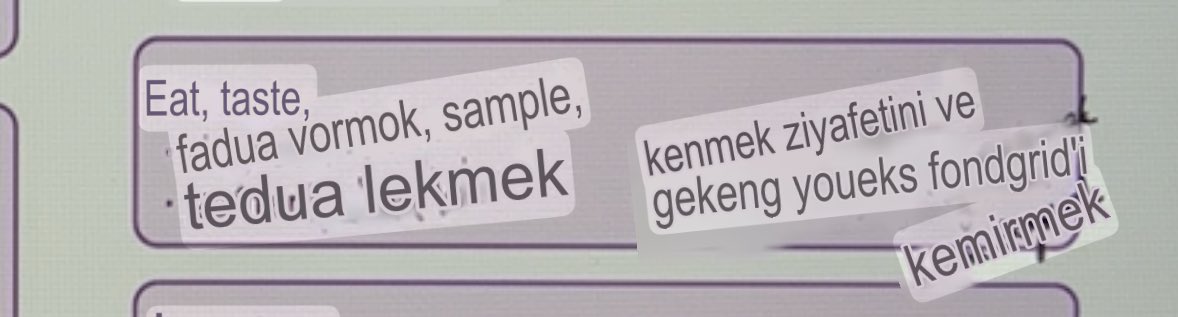 tesekkurler turkce fransizca ceviri