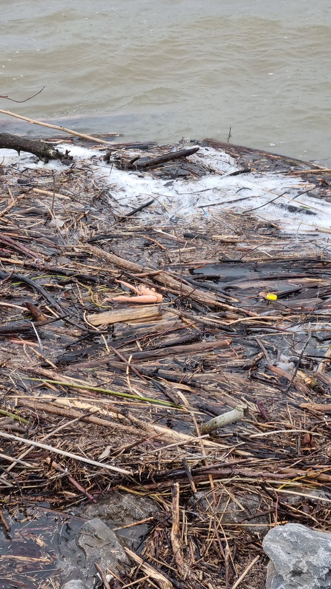 Klungelsmurf71's tweet image. Is iemand zijn/haar Barbie kwijt? 😁 #Hoogwater #Jutten #Spijk