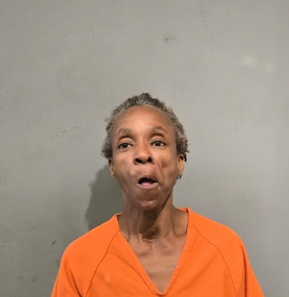 Silvia Trevino Pct 6 Constable tweet media