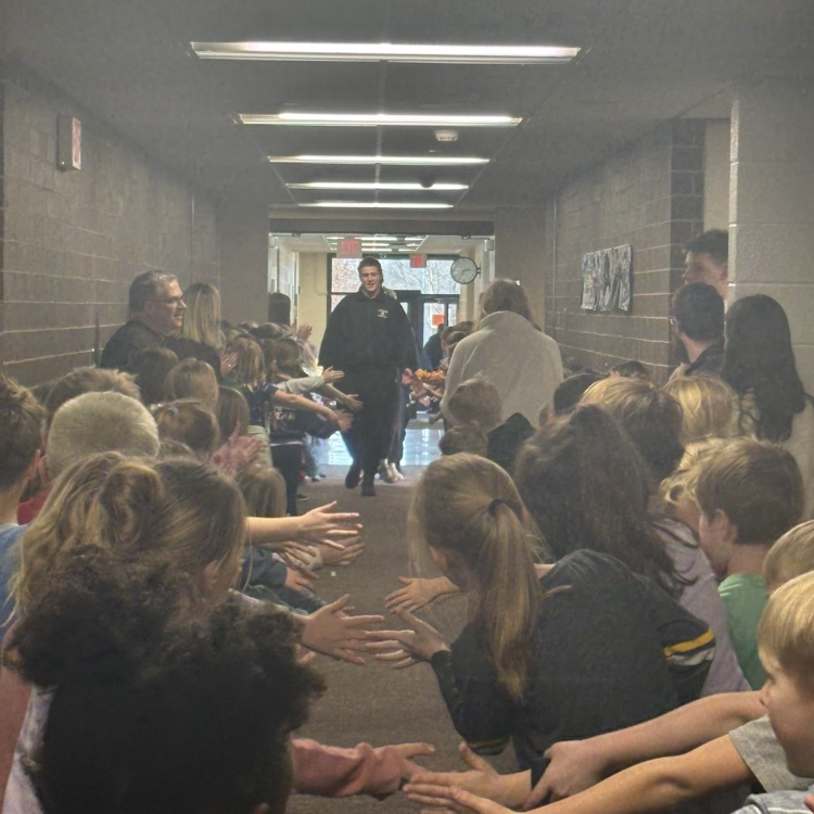 Solon CSD tweet media