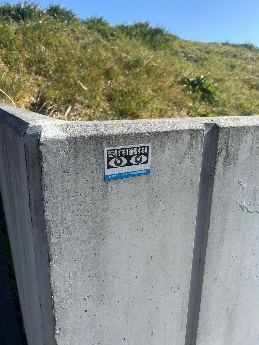 ⍴⌠⎰⊺⍴⊺⌠⏥犬の専門店 tweet media