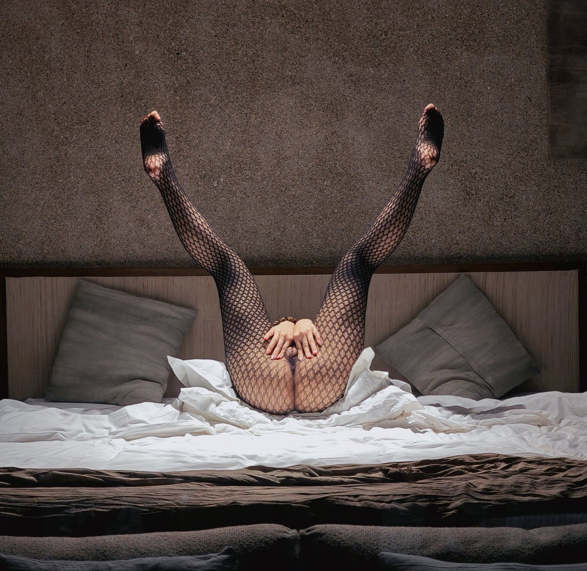 Natorare tweet media