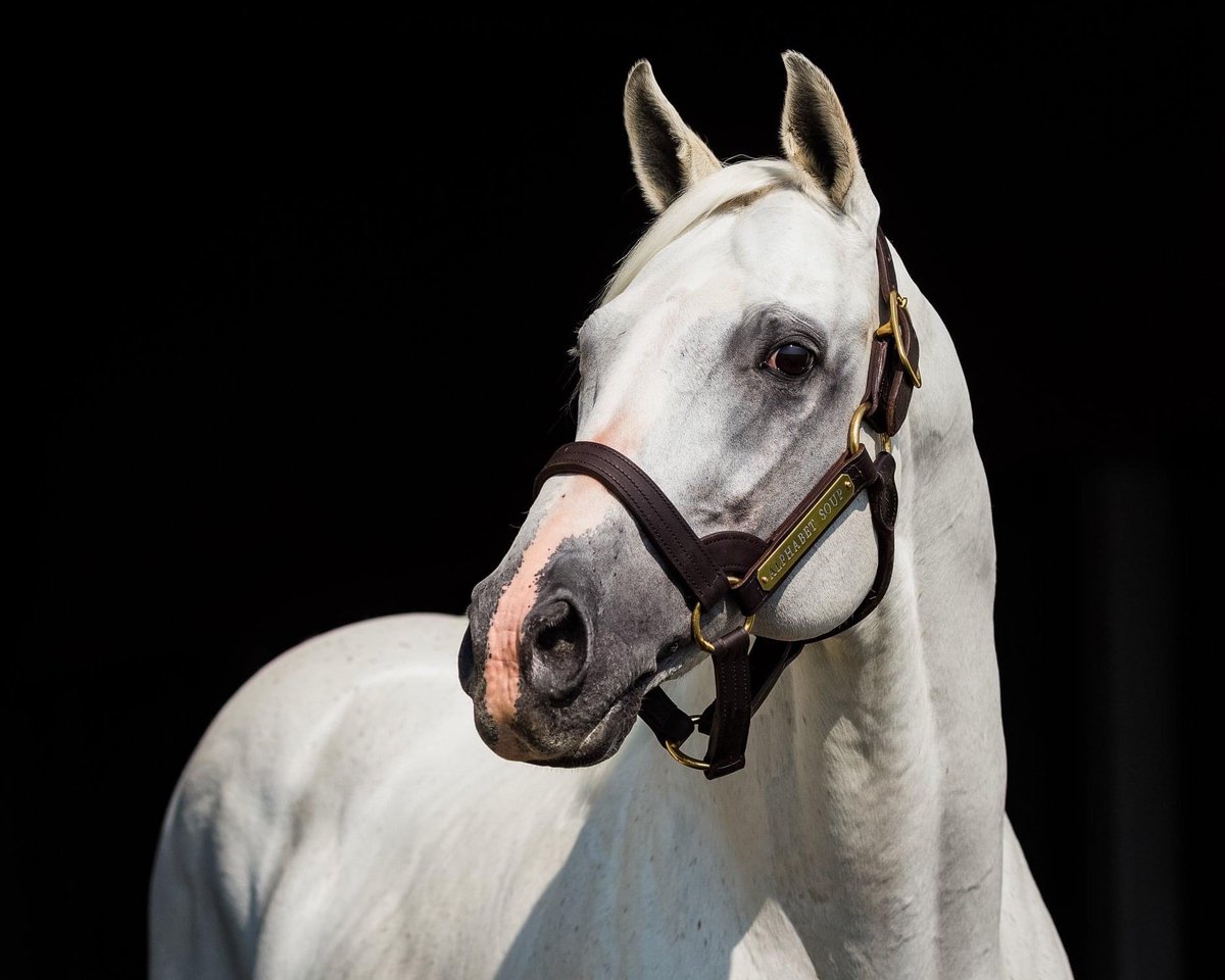 AftertheFinishLine tweet media