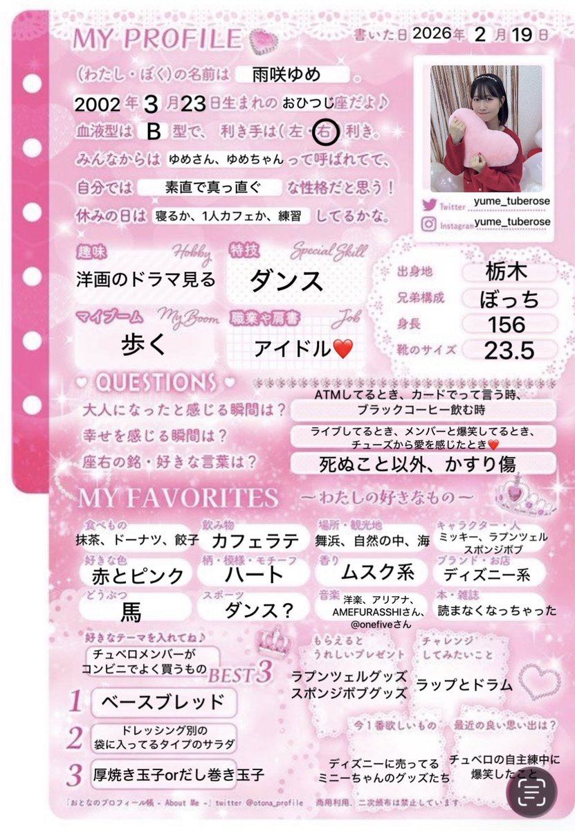 りながやってたの見て 私も寝る前にやってみたお💕 プロフィール帳