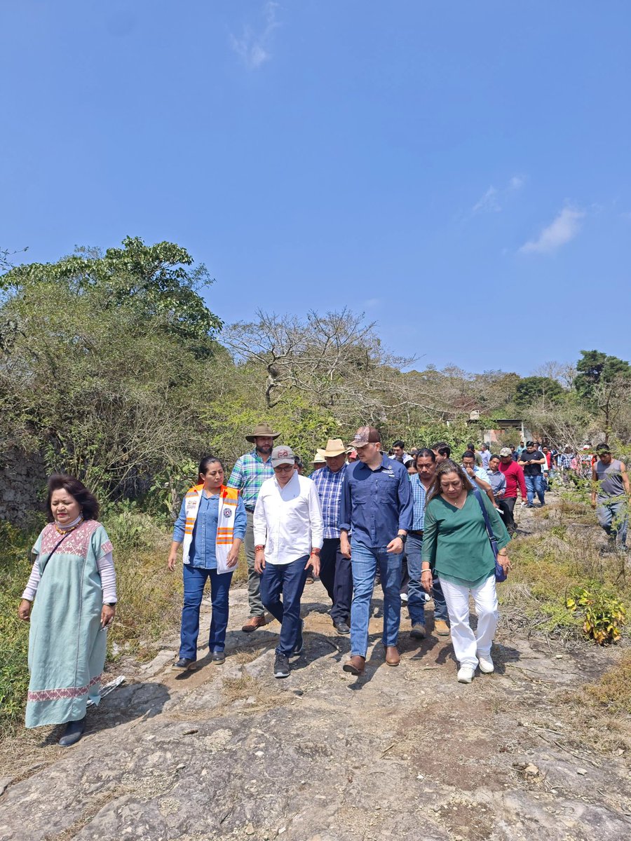 Pável Palacios Chávez tweet media