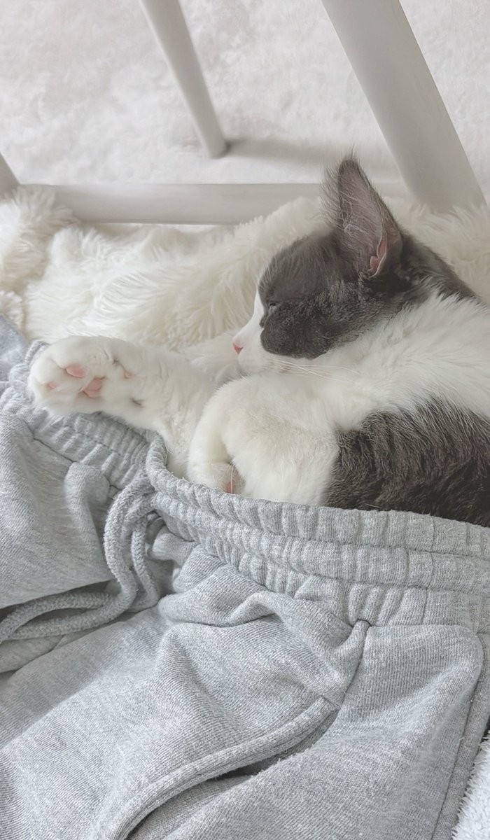 勝手に履かないで