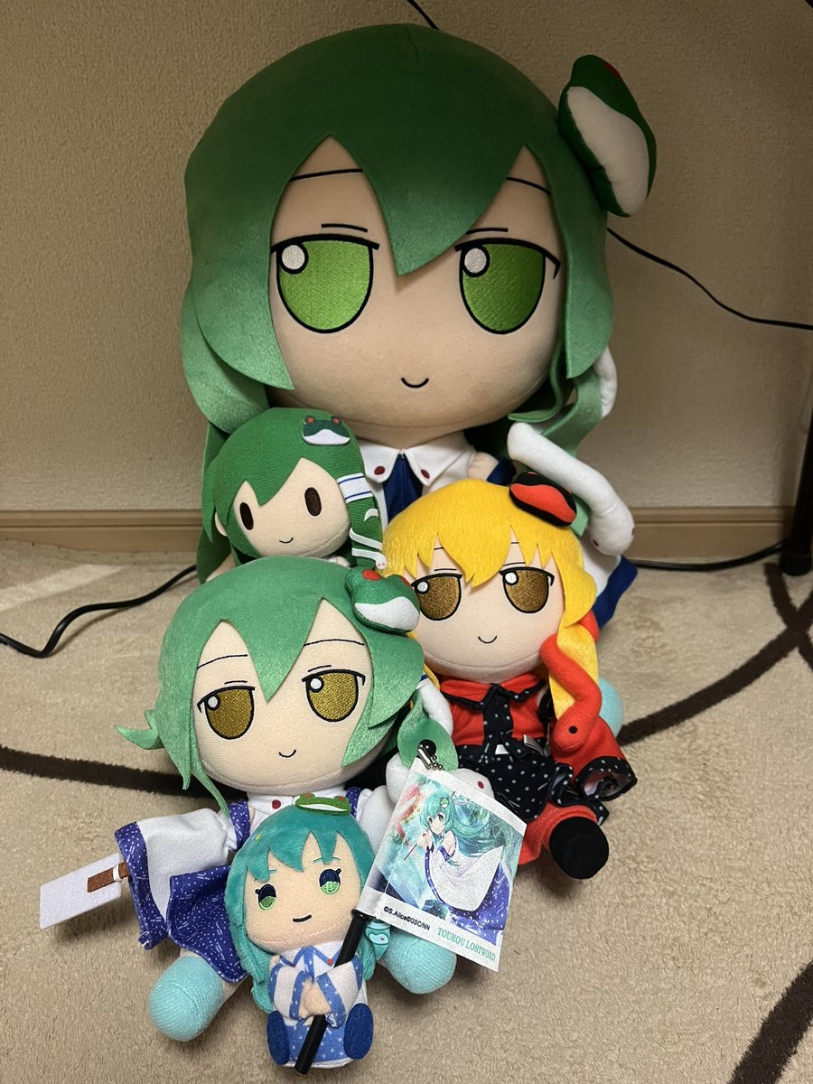 さなこち🐸🐍 tweet media