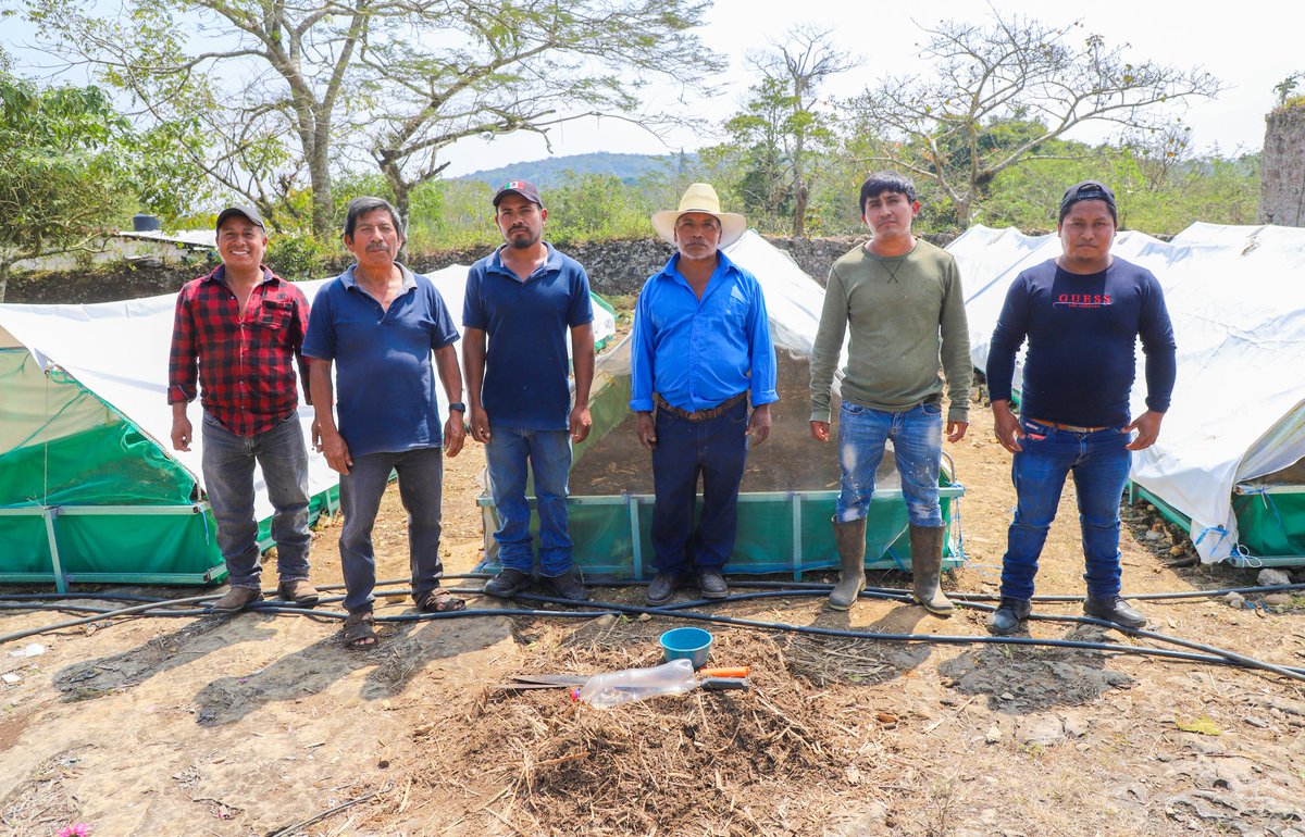 Pável Palacios Chávez tweet media