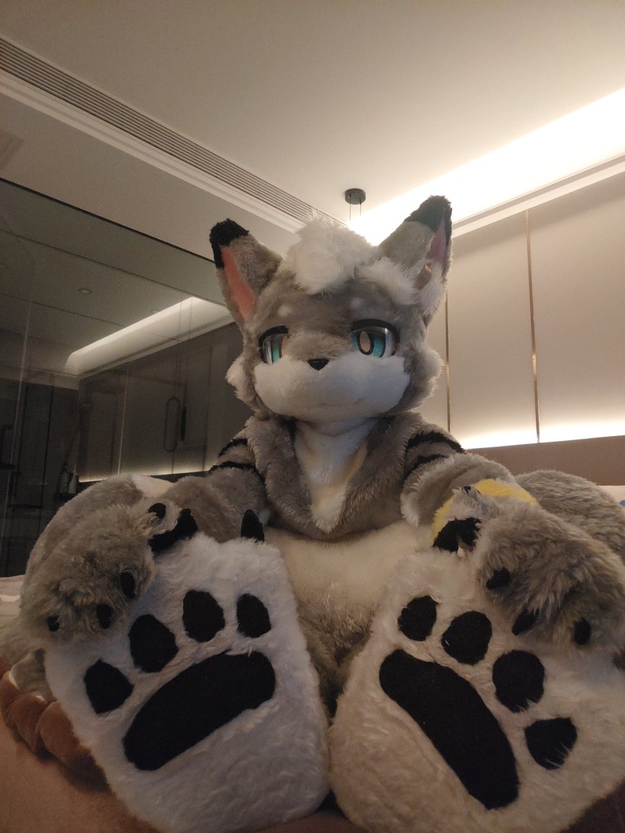 Uga-乌格尔/ウガ️ tweet media