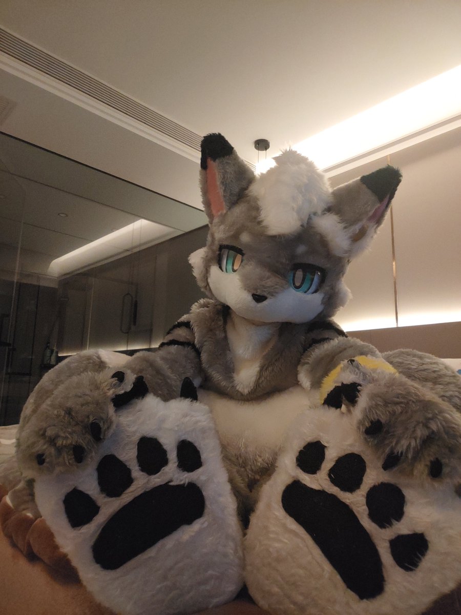 Uga-乌格尔/ウガ️ tweet media