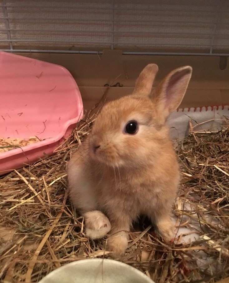 Sachin Kumar tweet media