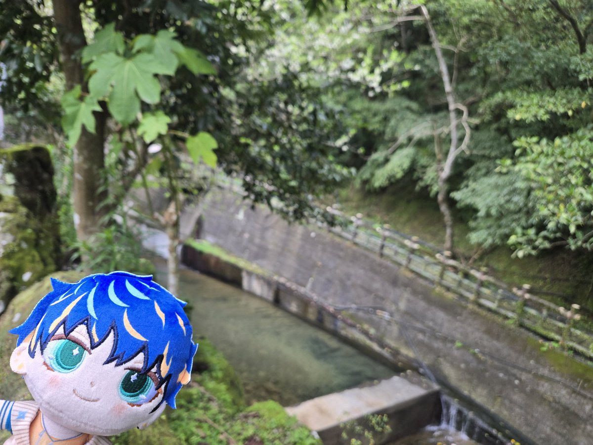 鄭鄭 tweet media