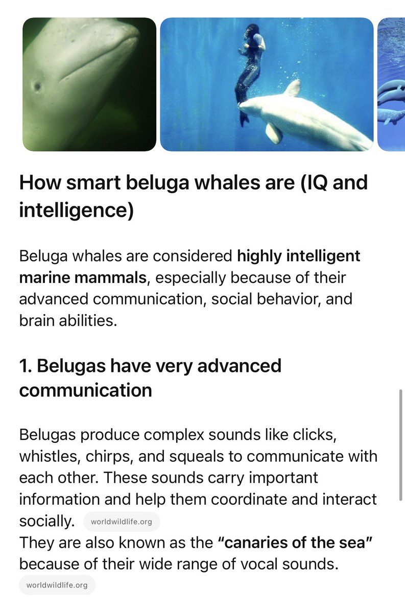 Insane how beluga iq is that high, they are known to be one of the smartest creatures in the world.

worldwildlife.org/species/whale/…