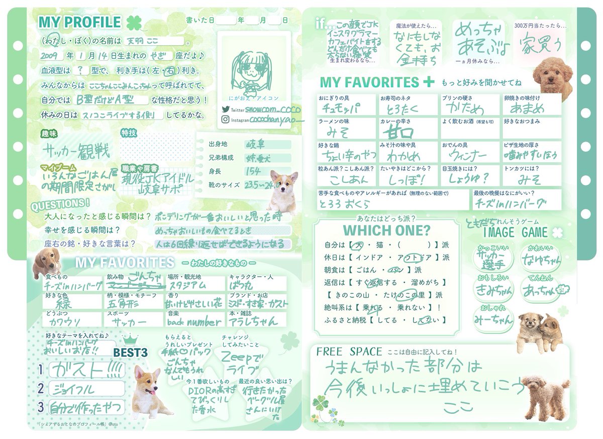 はじめてのプロフィール帳⸝⸝ᴖ ·̫ ᴖ⸝⸝💚