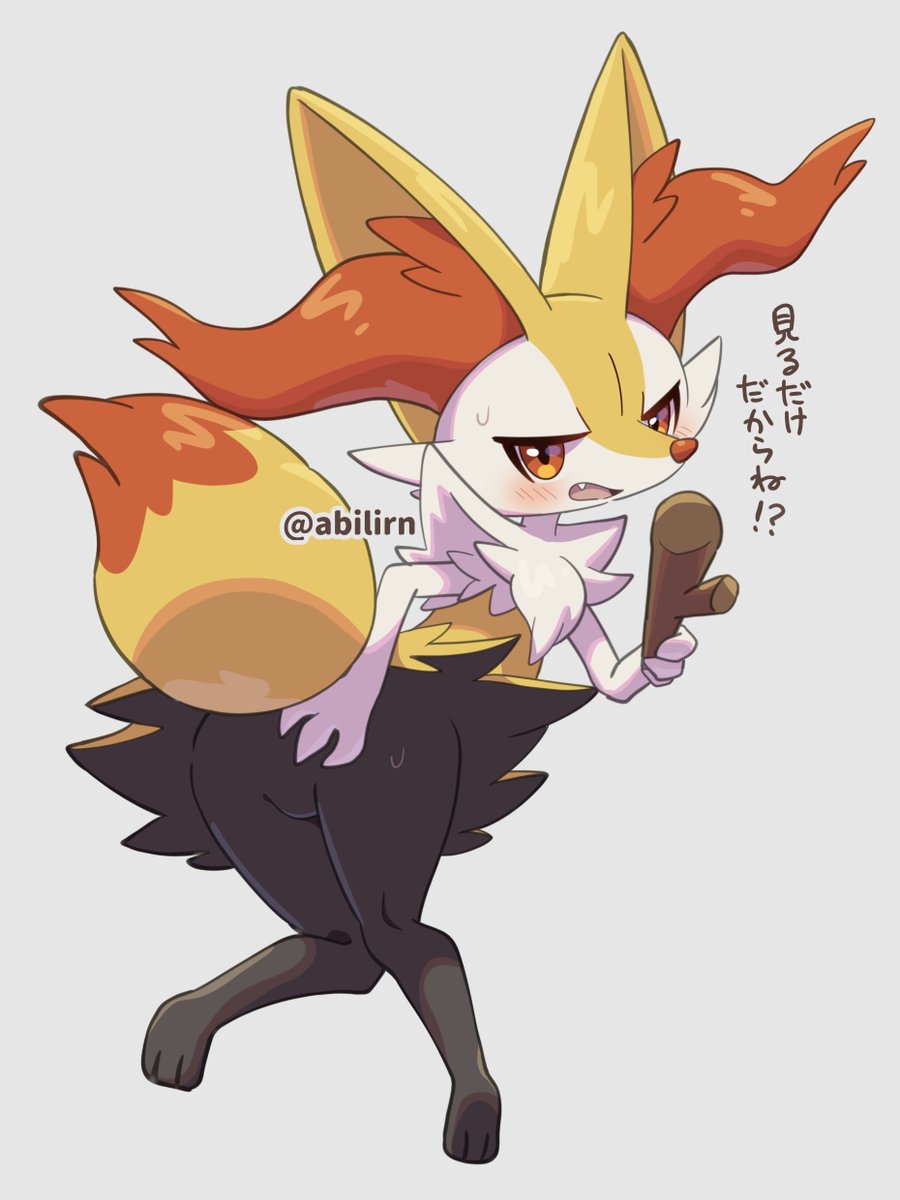 見せてくれるテールナー